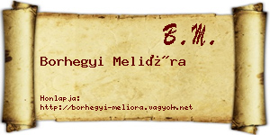 Borhegyi Melióra névjegykártya